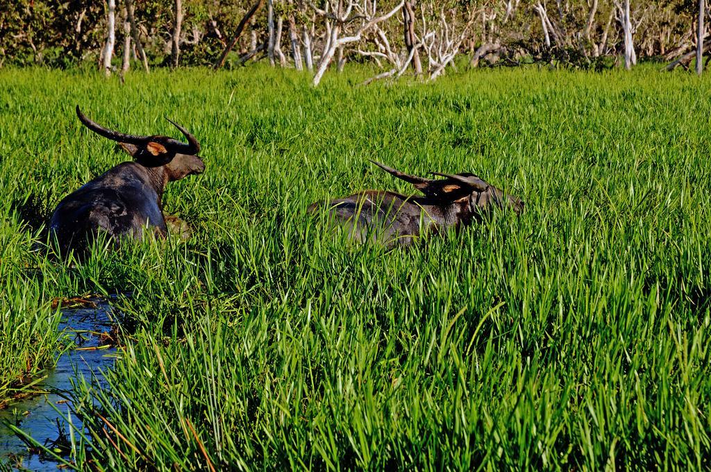 Bamurru Plains Point Stuart Экстерьер фото