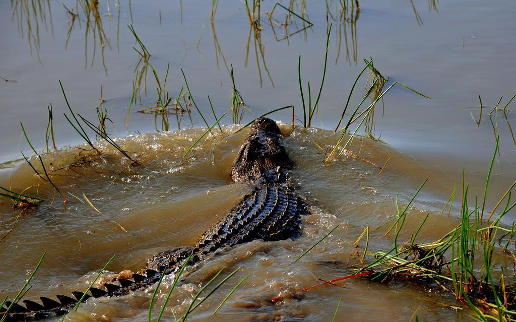 Bamurru Plains Point Stuart Экстерьер фото
