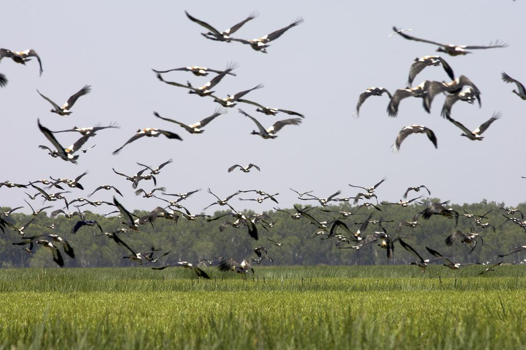 Bamurru Plains Point Stuart Экстерьер фото