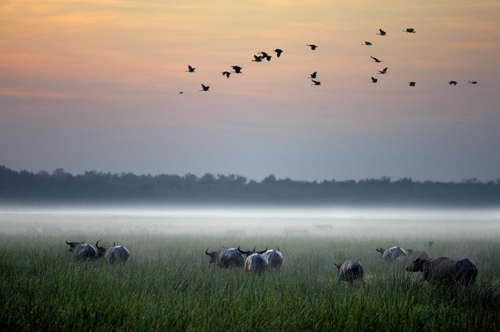 Bamurru Plains Point Stuart Экстерьер фото