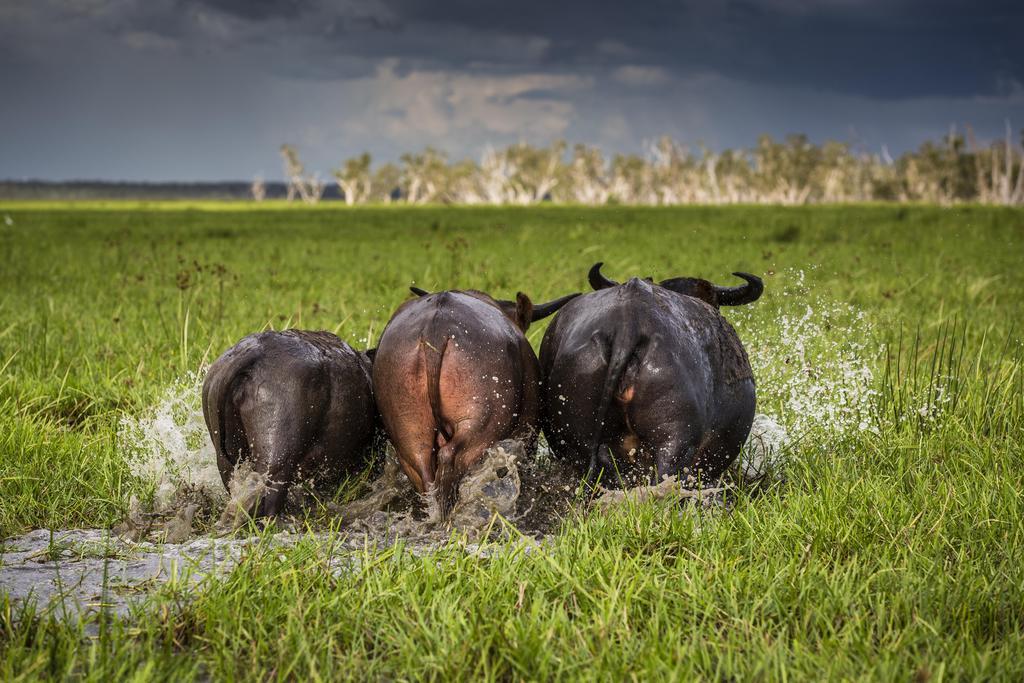 Bamurru Plains Point Stuart Экстерьер фото