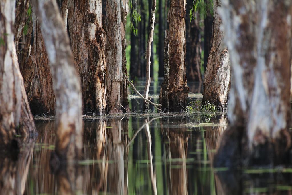 Bamurru Plains Point Stuart Экстерьер фото