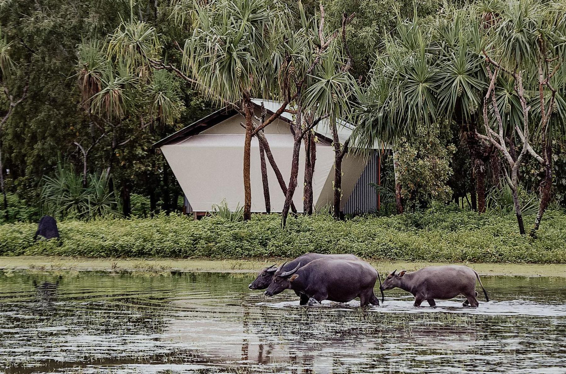 Bamurru Plains Point Stuart Экстерьер фото